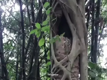 বুকে জড়িয়ে ধরলেই কি সবাই আপন হয়? #Mehedi_Hasan_01 #Mehedi7510 #viral #tiktok #Foryou @TikTok @TikTok Bangladesh 