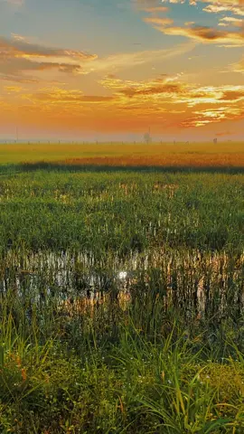 #CapCut Music chill story . #capcutradio #trend #capcutpioneer #pioneertemplate 