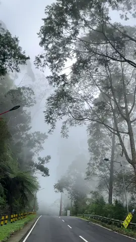 indahnya kabut di tengah jalanan lawu #tawangmangu #magetan24jam #karanganyar24jam #lawumountain 