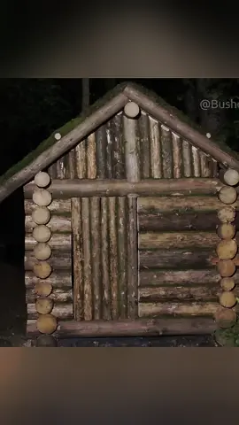Building a Survival House in Larch Woods
 #Bushcraft #ASMR