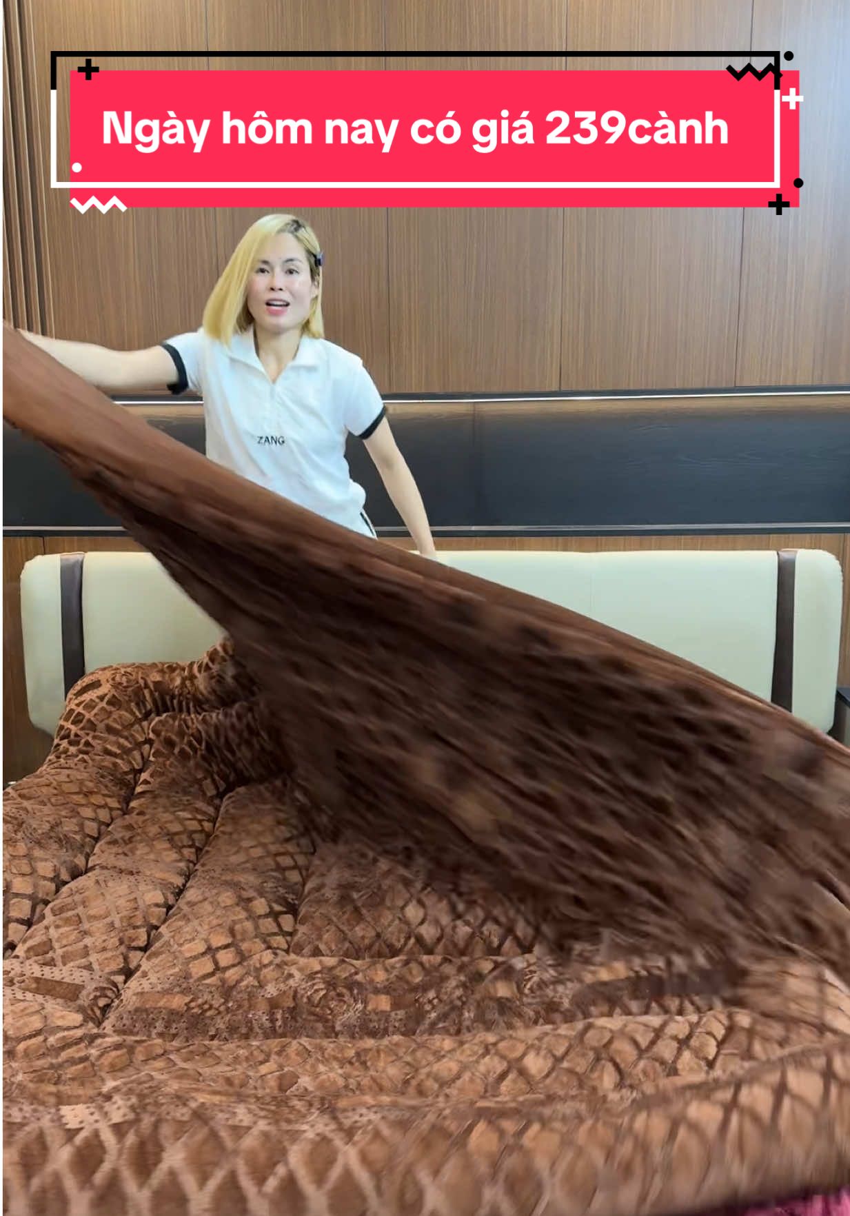 Ngày hôm nay chỉ có giá 280k #xuhuongtiktok #thinhhanh #chanlongcuu #chancocolongcuu #chanmuadong 