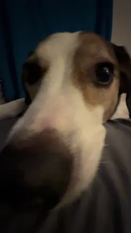 Lmao the audio fits her 