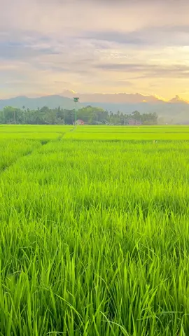 Awan tak pernah bertanya kemana angin membawanya, tapi ia tetap indah dalam perjalanannya.