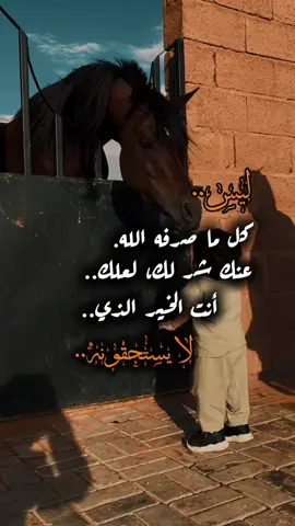 #ستوريات #تيك_توك #أكسبلورر #فولو #fyp 