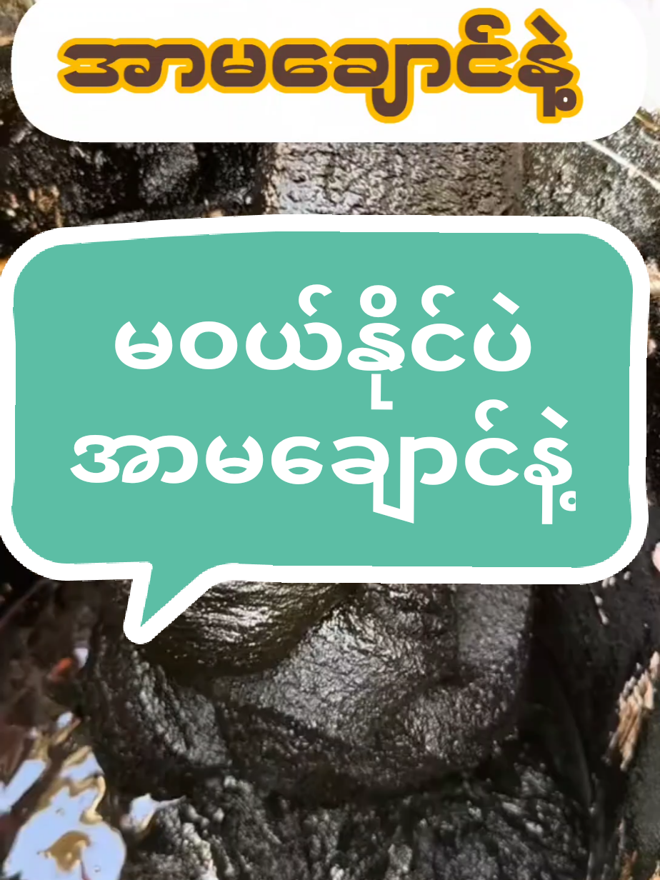 ဆံပင်ဖြူနေသူများ#ဆံပင်ပြသနာရှိသူတိုင်းကြည့်ပေးပါ #ဆံပင်ဖြူနေတဲ့သူတွေအတွက် #ဆံပင်ပေါက်ဆေး #အာမခံအမွှေးပေါက်ဆေး 
