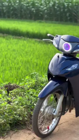 ui #wave125i_ไฟเลี้ยวบังลม #xuhuong 