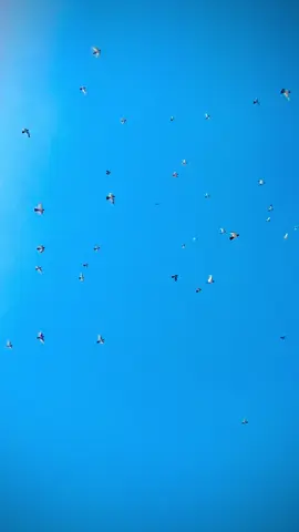 #viral #fyp #trand #foryou #tik_tok 