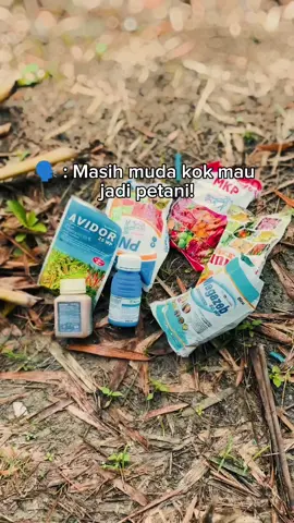 #CapCut #31hst#petanimuda#fyppppppppppppppppppppppp@Khang_Sho 