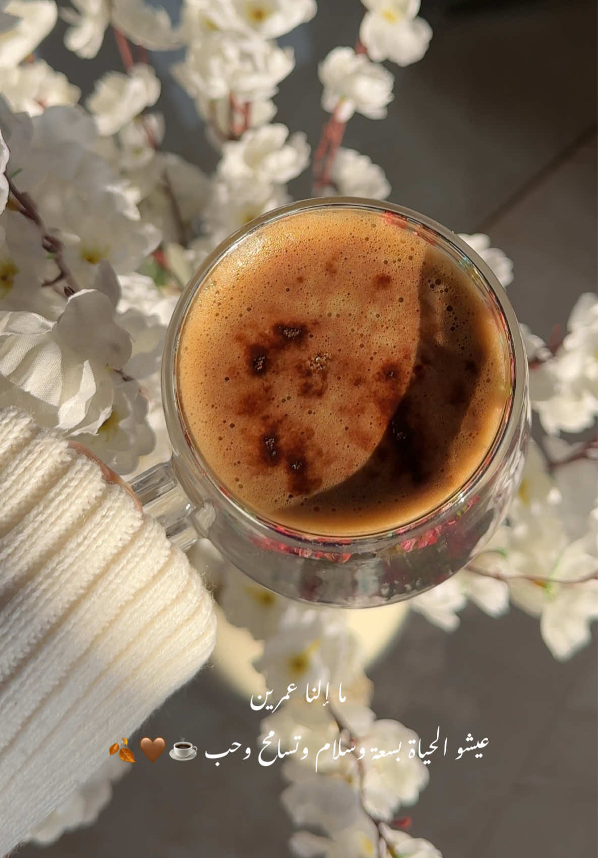 ما إلنا عمرين ، عيشو الحياة بسعة وسلام وتسامح وحب 🤎🎻☕️