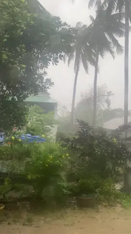 Bão chưa tới mà gió cỡ này rồi #bãolụtmiềntrung #hoainhon77c1 #gialai #77binhdinh 