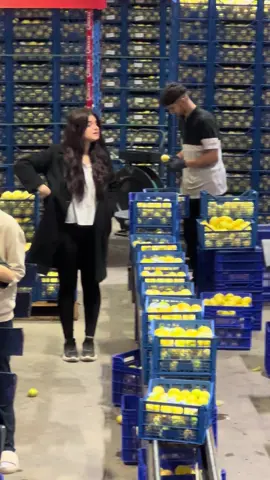 🍋#fabrika #ambalaj #narenciye #paketleme #keşfet 