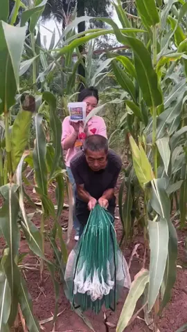 Fishing routine🎣🐟 #additive #hot #🐟 #🔥 #fyp #additive #hot #tiktokshop #Popular #TikTok #additive 