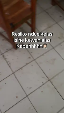 Gok tenan #fyppppppppppppppppppppppp #masukberanda #xybca #foryoupage 