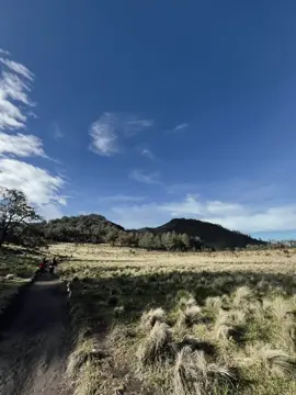 #CapCut #4u #foryoupage #galaubrutal 