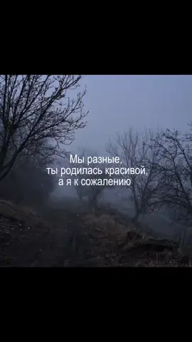 #прошурекомендации #врек #щпгрустные #щп ##плакатьщп 