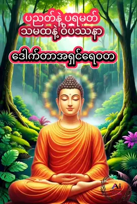 #နေ့လည်ခင်းလေးပါ❤️🌻❤️🌻❤️🌻 