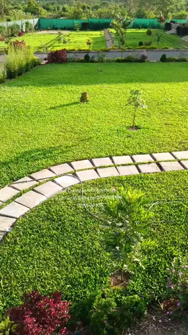 Bring your outdoor vision to life with Go Green Landscapers — the experts in creating stunning, sustainable landscapes that last. From lush lawns and vibrant gardens to elegant stonework and outdoor living spaces, we handle it all with skill and care. Our team is dedicated to quality craftsmanship, personalized service, and transforming your property into a space you’ll love. 🌿 Contact Go Green Landscapers today at 0799620408. #nature #landscapingkenya #serenity #landscaping #landscapedesign 