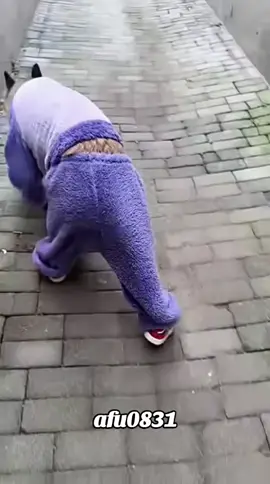 #粉丝一千万 #dog #cute #viral #fyp 