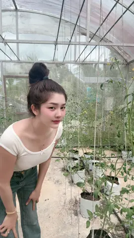 #faa560 #ตรัง 🍅