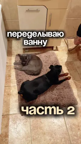 Для ванной комнаты использовала: Текстильная водонепроницаемая штора wb 490443213  10 из 10 🔥  Ведро для мусора wb 175836316  4 из 10 (плохо работает крышка) Полка wb 526132035 10 из 10 🔥  Ершик wb 292853407 5 из 10 (качество среднее) Коврики магазин Магнит