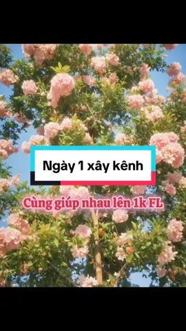 Ngày đầu xây kênh - Cùng cố gắng nhé.#ngaydauxaykenh #nguoimoixaykenh #xaykenhtiktok #xaykenhchonguoimoi #flcheo 