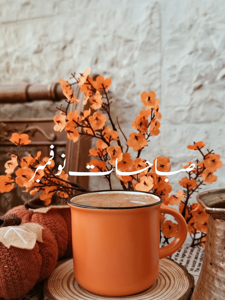 #🌧🤎 #assil_photography 