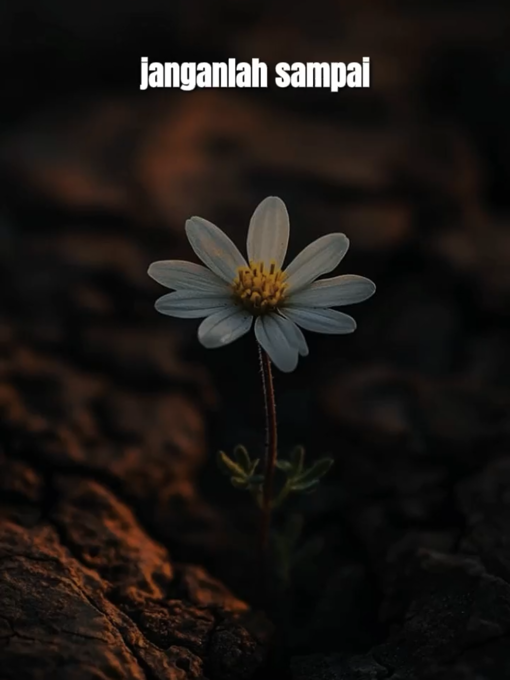 jangan lah sampai engkau berlalu🔥🤏 #overlay #templatelirik 