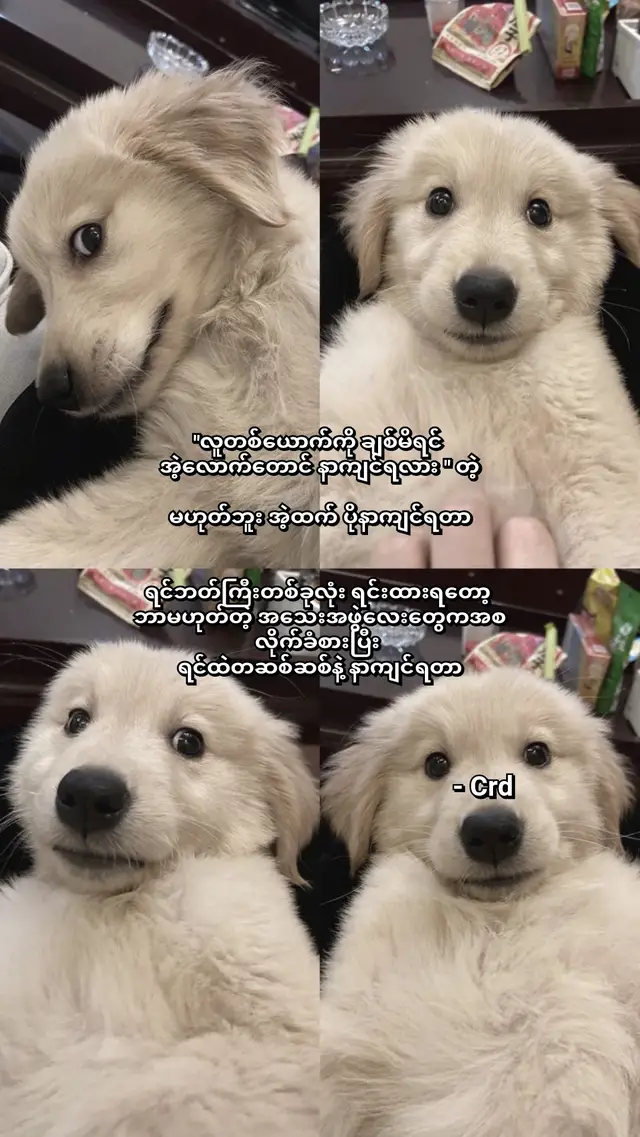 viewတွေကျ😞 #fyp #foryou #fypp  #fyppppppppppppppppppppppp   