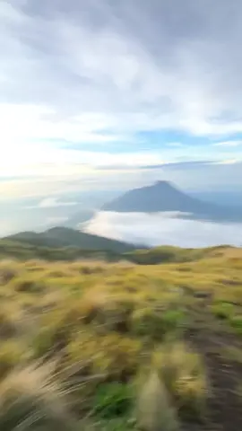 wow📈 #merbabumountain  #merbabu3142mdpl  #merbabu#merbabuviaselo  #merbabuviasuwanting 