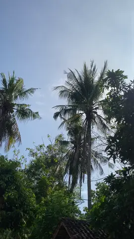 😇#rxkingindonesia #135cc #xbcyza #fouryou 