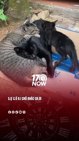 S.ự c.ố đi chỗ khác ch.ơi #17network #17now 