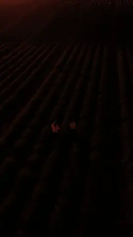 Part63 ||| Qasdiga noloshee Oggow |||  ... #somalilyrics🌺😕💎 #fyÿyyyyyyyyypシ゚viral🖤tiktok #ASMA🇸🇴 #foryoupage❤️❤️ #viewsproblem💔😔 