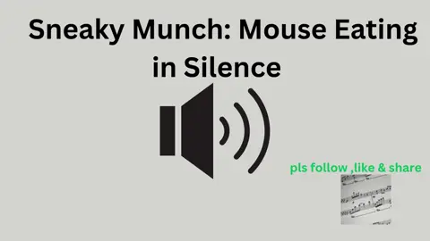 Sneaky munch : Mouse eating in silence sound #sound #sounds #soundeffect #soundeffects #soundsfx 