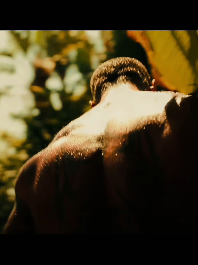 53.11/6/25 its been a while quick edit after like a month Song - gang unit x smt else, just look at sound #jaycutler #leepriest #richpiana #kevinlevrone #gangunit 