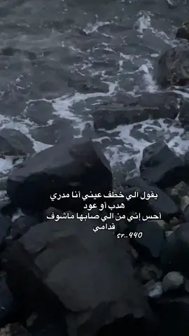 #اكسبلور_تيك_توك #🕊️ 