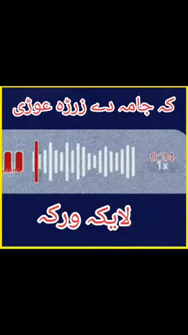 @🥀𝐒𝐨𝐡𝐚𝐢𝐥 𝐊𝐡𝐚𝐧❣️ 