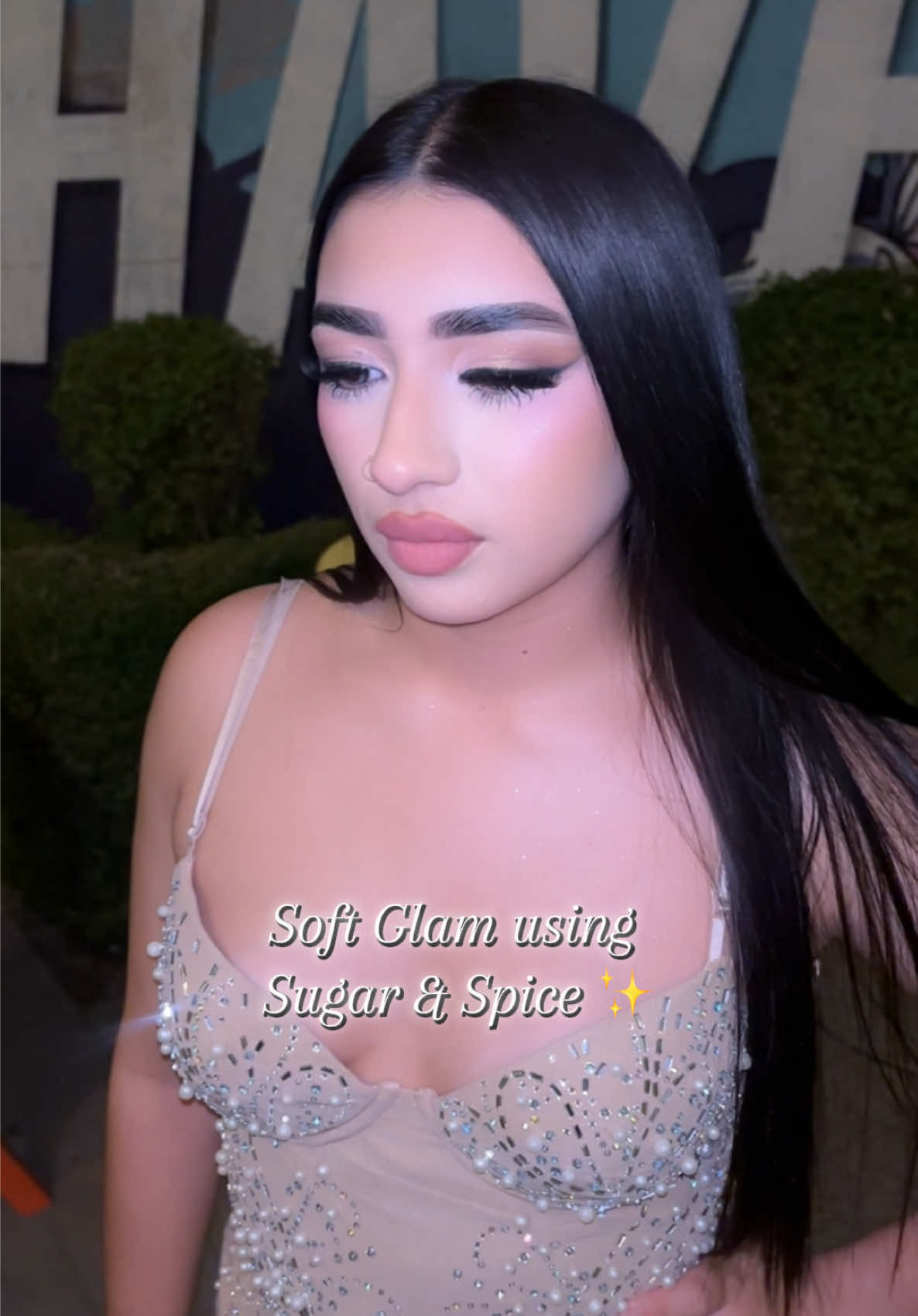 Salió super bonito me encanto este maquillaje en @Judith Valdez 😍#anastasiabeverlyhills #softglam #makeup #tiktokshop #eyebrows 