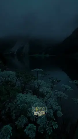 ##part37 #viraltiktok #lyricsvideo #BOSSU #oromotiktok❤️💚❤️ethiopiantiktok @BOSSU_LYRICS_🗣🔊 