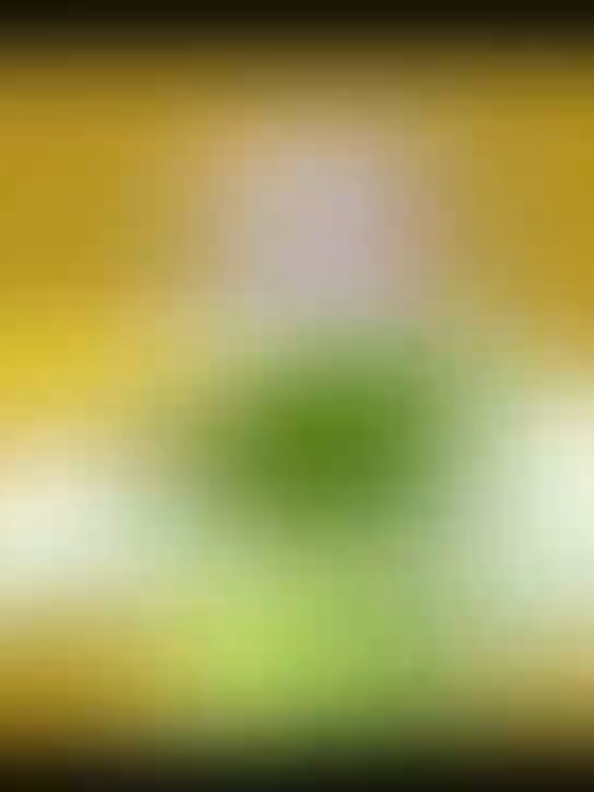 承太郎之死！#搞笑 #JOJO #jojo的奇妙冒險 #動漫 #開心一刻 #星塵遠征軍 #空條承太郎 #瘋狂鑽石 #東方仗助