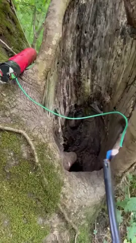 Cuộc sống luôn có nhiều điều bất ngờ!!! #Garden #thietkesanvuon #landscape #zions #sanvuondep 