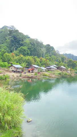 #danau #4upage #wisata #merangin #fypage 