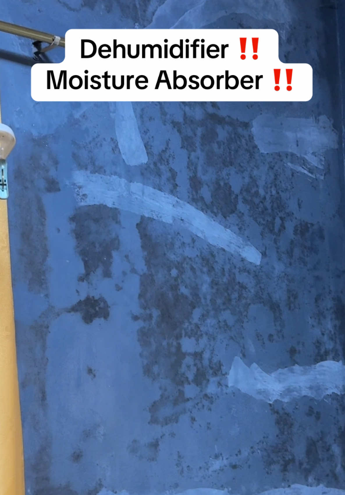 Dehumidifier ‼️ Moisture Absorber ‼️ #dehumidifier #homefinds #homeessentials 