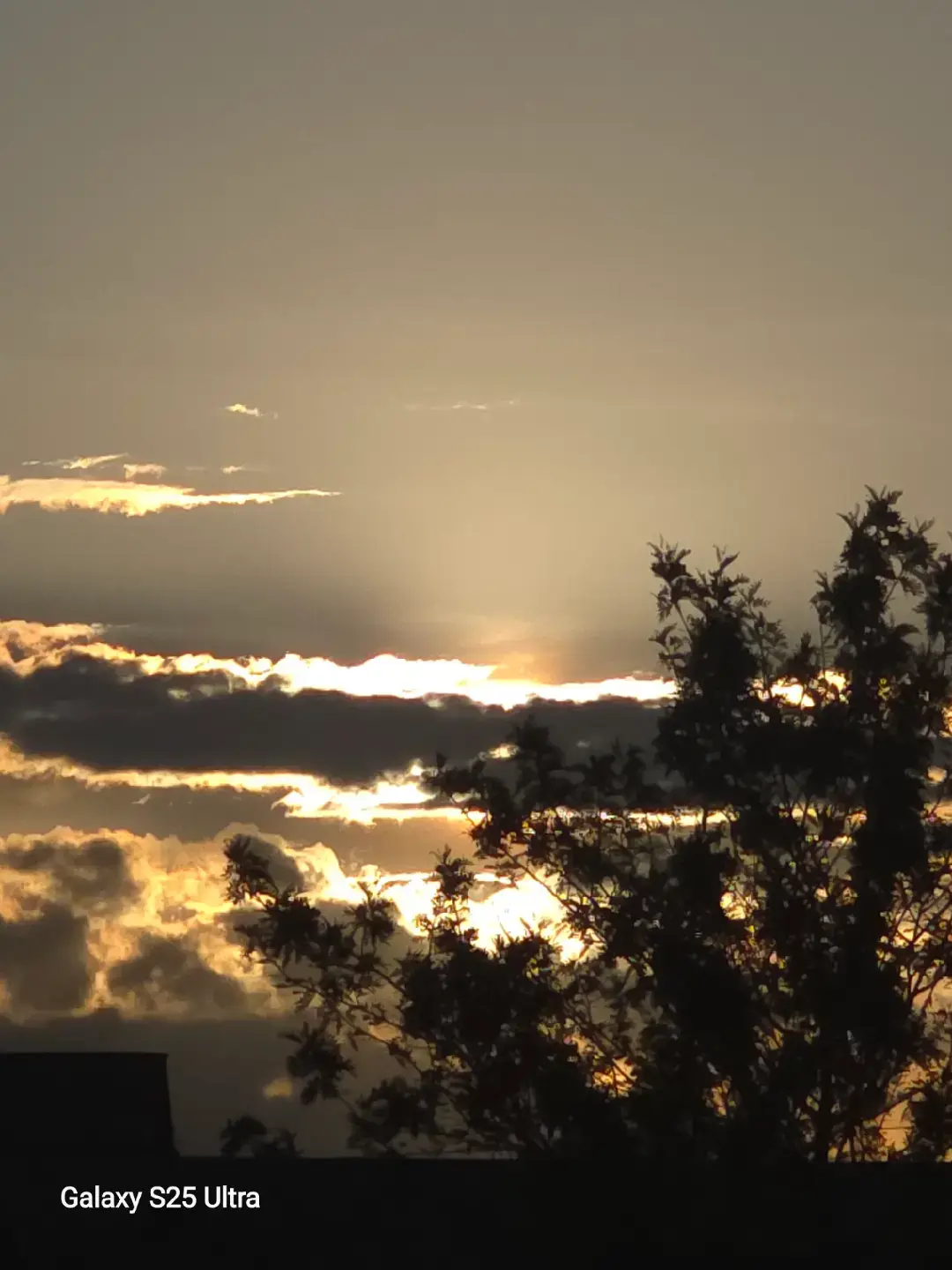 Sunset ✨🙂‍↕️