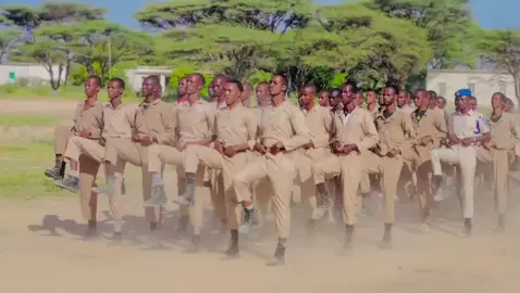 cidnki qaranka 🦁🥷🫡