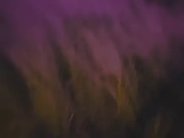 Song: Đừng ngoảnh lại #nhactrungquoc #viral #lyrics 