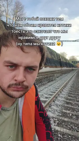 #cat #котики #длятебя #hopecore #железнаядорога 