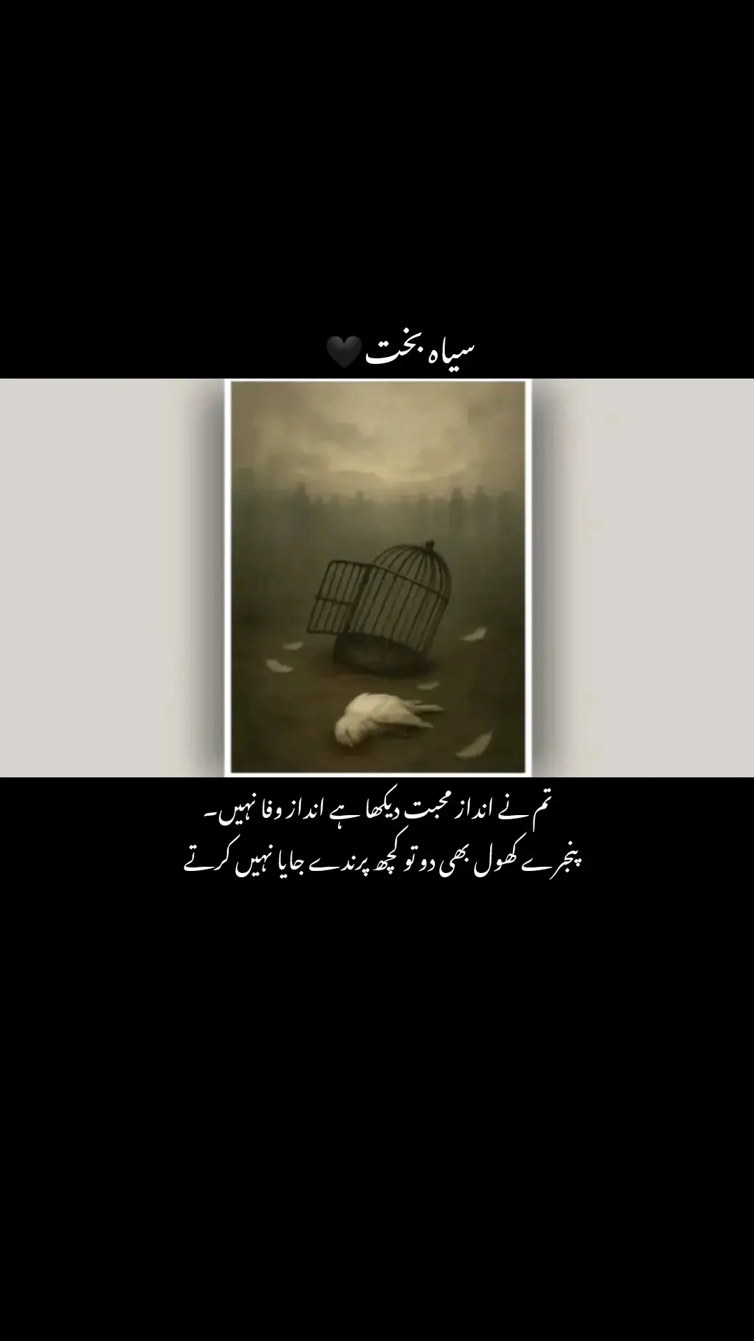 محبت کا انداز تو سب دکھا لیتے ہیں،کبھی باتوں میں کبھی وعدوں میں،کبھی میٹھے لہجو میں-💞لیکن وفا۔۔۔!وفادکھانا ہر کسی کی بس کی بات نہیں-کیونکہ محبت کہنا آسان ہے مگر وفا نبھانا مشکل ہے🥺پنجرے کھول دینا کافی نی ہوتا!🕊کچھ پرندے ایسے بی ہوتے ہیںجو قیدسے زیادہ اپنے مان کو عزیز رکھتے ہیں -💞وہ چاہیں تو آزاد فضاوں میں اڑ جیں لیکن پھر بھی وہیں ٹھرے رہتے ہیں جہاں دل کا رشتہ بندھا ہوتا ہے۔کیونکہ ہر پرندہ🕊 آزادی کا نہیں ہوتا ۔بلکہ اپنے یقین اور تعلق کا اسیر ہوتا ہے❤️‍🩹🫶