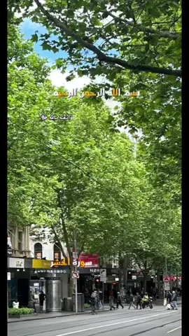 #CapCut #تلاوة_خاشعة #سعود_الفايز #استراليا #لبنان_مصر_الخليج_سوريا 