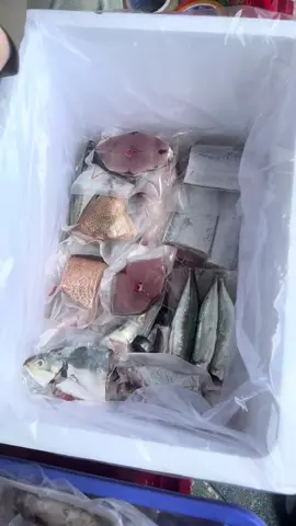 Cá biển tươi #cabien #haisan 