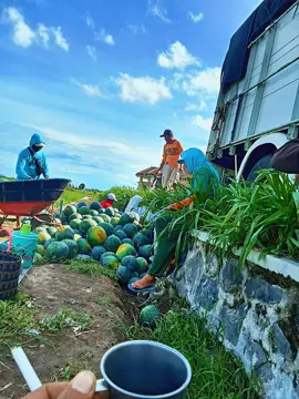 lagi males balapan 😄 #semangkabanyuwangi 